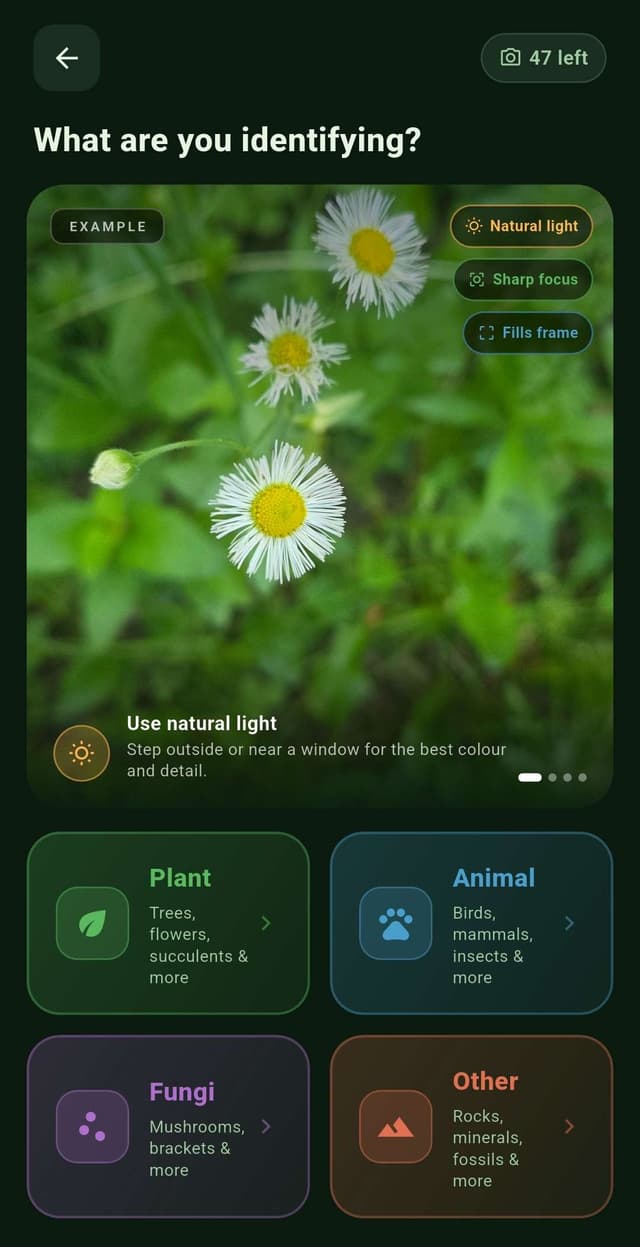 Plants: Choose Category