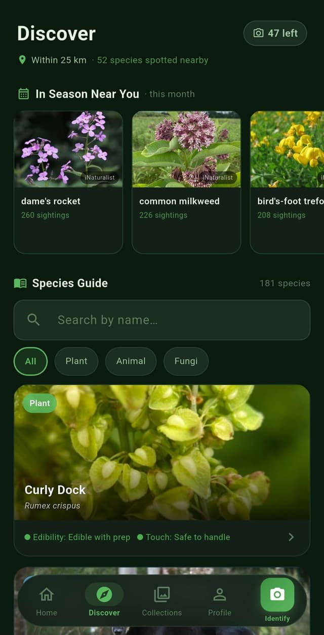 Discovery screen in Spotter