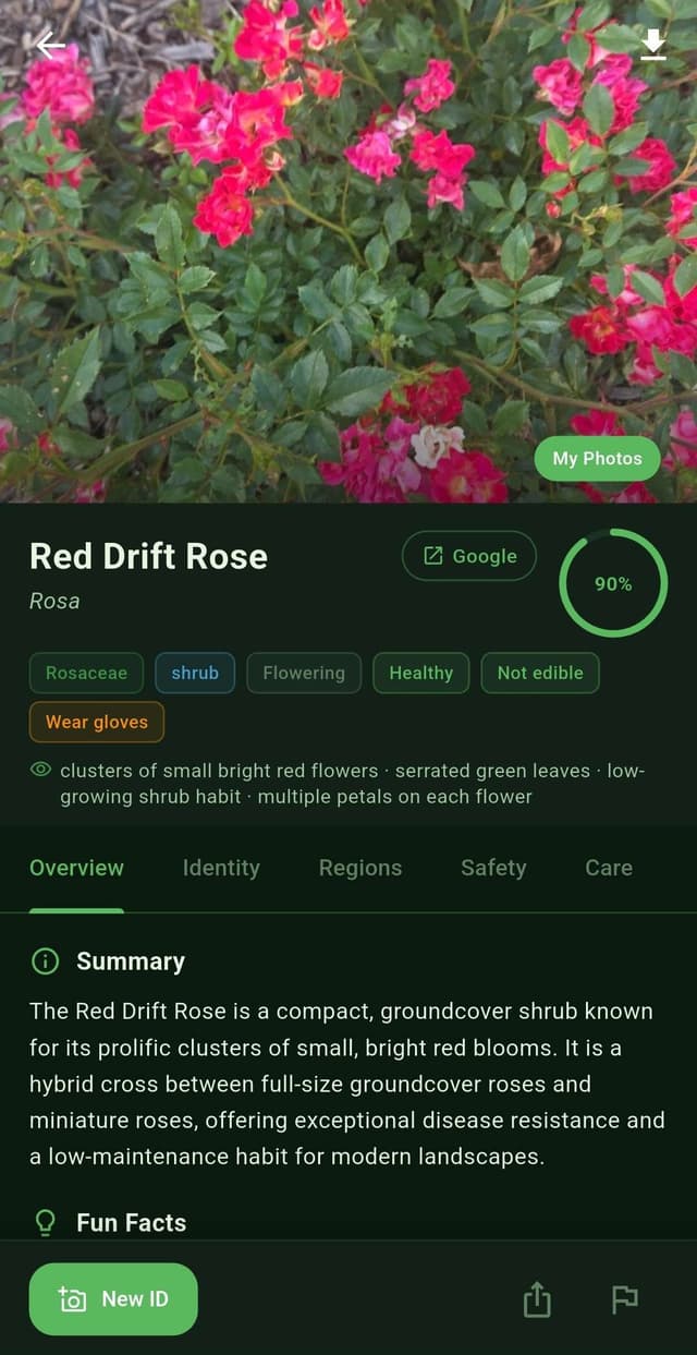 Plants: Identification