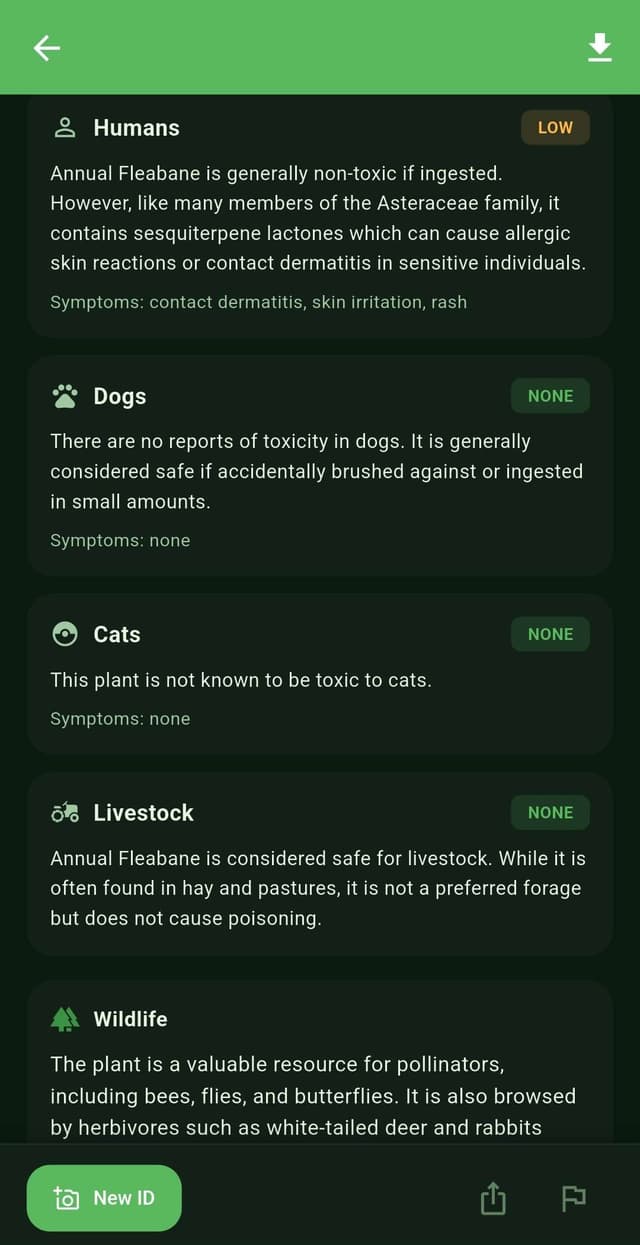 Safety information tab in Spotter