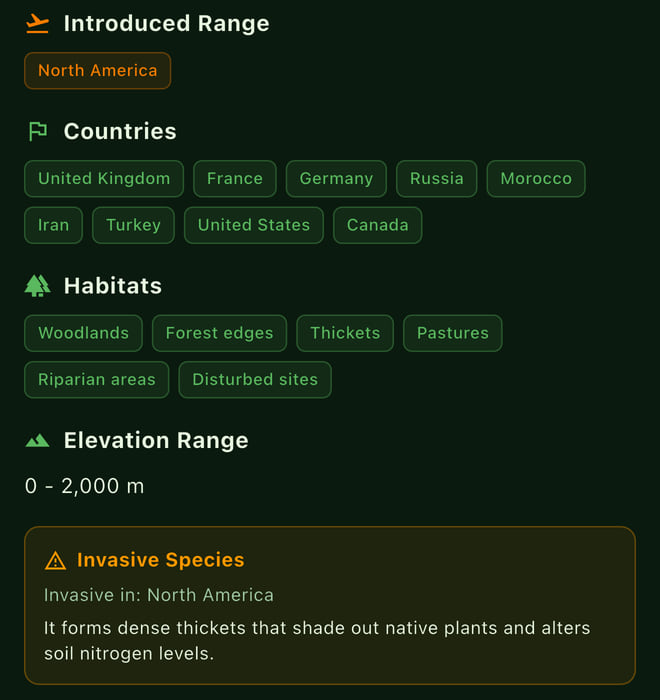 Spotter's Regions tab for Common Buckthorn: introduced range North America, habitats such as woodlands and forest edges, and an Invasive Species card: invasive in North America, forms dense thickets that shade out native plants.