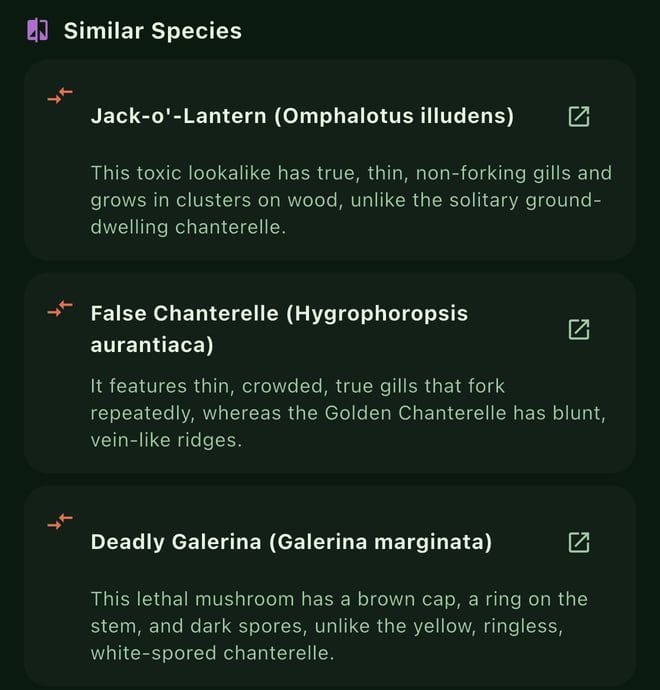 Spotter's Similar Species list for the Golden Chanterelle: Jack-o'-lantern, a toxic lookalike with true, thin gills that grows in clusters on wood; False Chanterelle; Deadly Galerina, a lethal mushroom with a ring and dark spores.